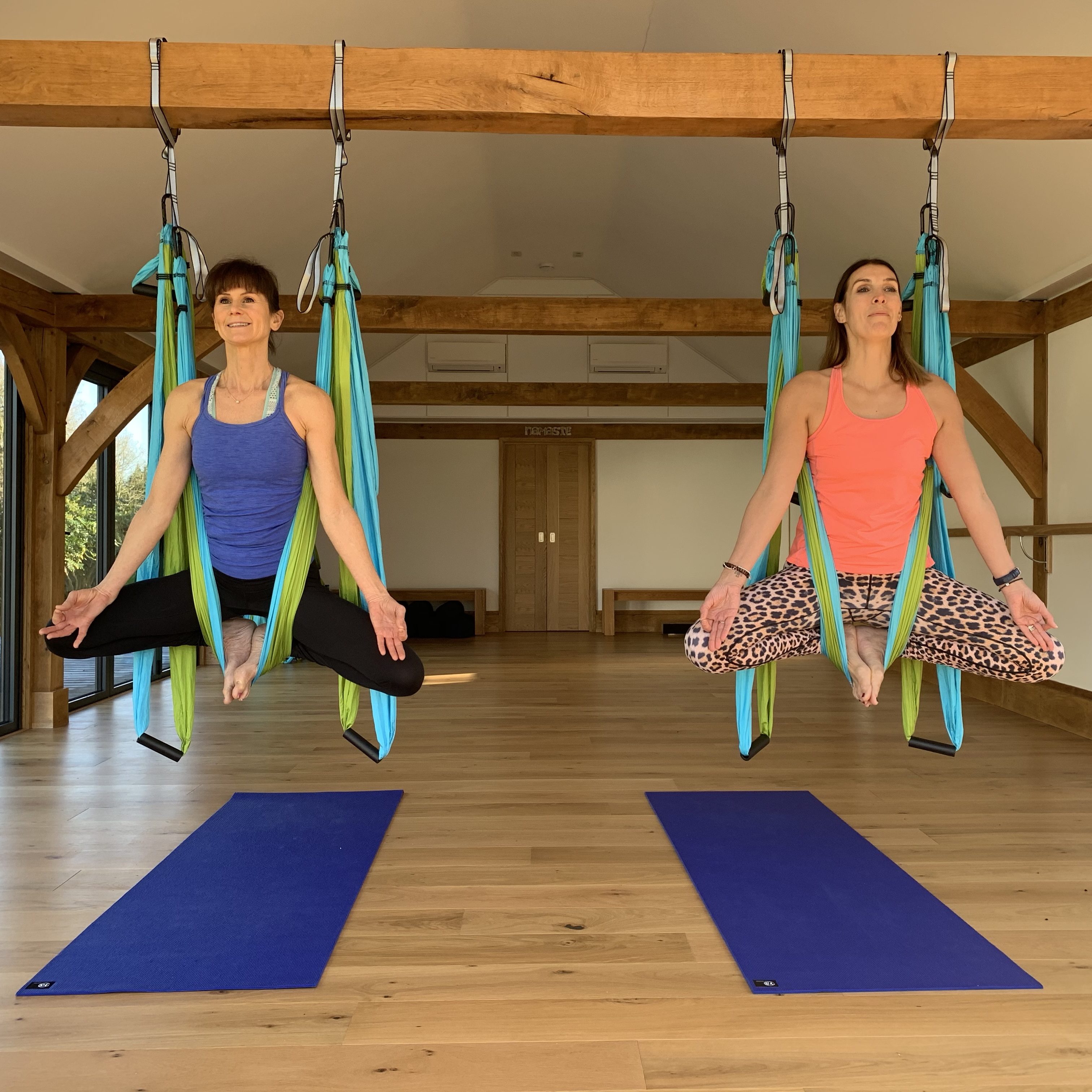 Yoga Trapeze 2 | Vitality Health & Fitness